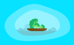 Is Eating Broccoli Ethical & Sustainable? Here Are the Facts