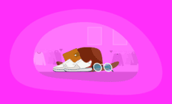 10 Most Sustainable Apparel Clothing Brands: The Conscious Consumer’s Guide