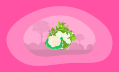 The Environmental Impact of Cauliflower: From Farm to Table