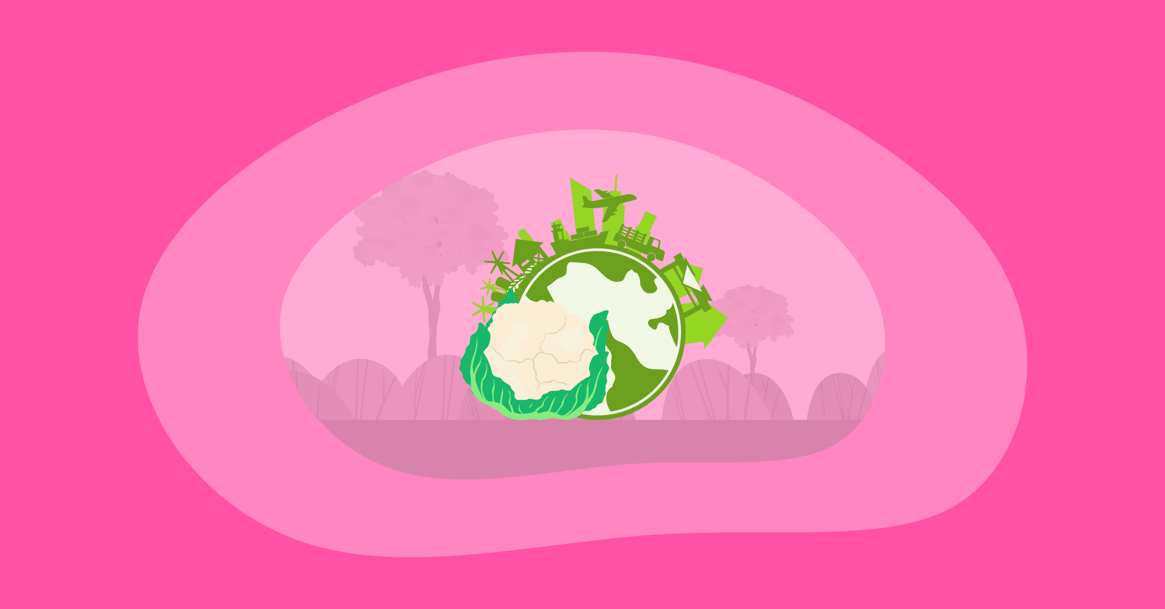 Illustration of the environmental impact of cauliflower