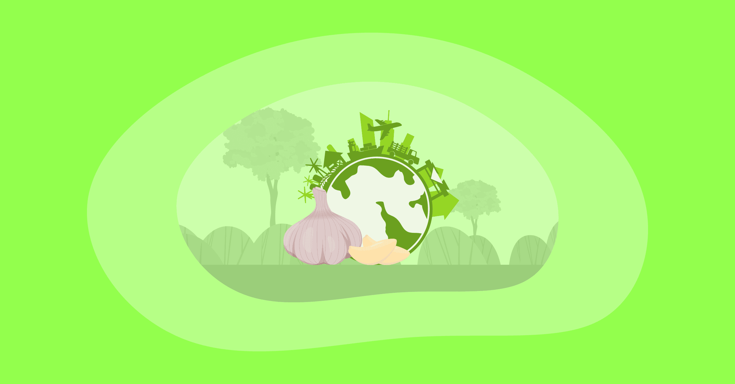 Illustration of garlic and its environmental impact