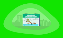 World Animal Remembrance Month 2025: All You Need to Know