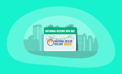 National Rescue Dog Day 2026: All You Need to Know