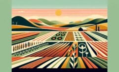 Africa’s First Verified Carbon Offset Project Changes Farming