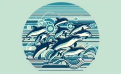 Scientists Decode Dolphin Whistles, Win Major Animal Communication Prize