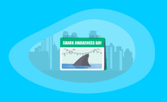 Shark Awareness Day 2026: All You Need to Know