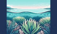 Seaweed Farms Store Significant Carbon, Opening Doors for New Credit Programs