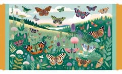 UK Butterfly Numbers Soar in ‘Magical’ Recovery Summer