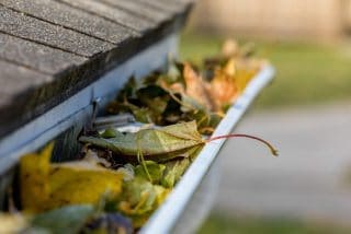 Gutter filled with fallen autumn leaves and debris.