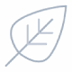 Leaf Icon