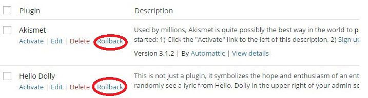 how-to-undo-changes-in-wordpress