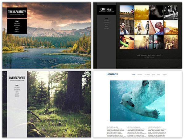 best photography wordpress themes
