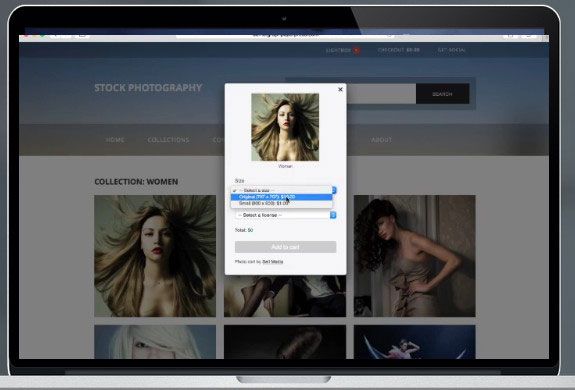sell media wordpress plugin review