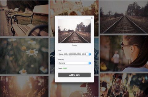 sell-photos-compare