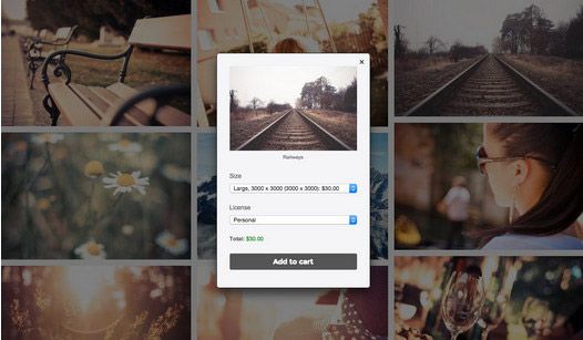 sell photos wordpress theme