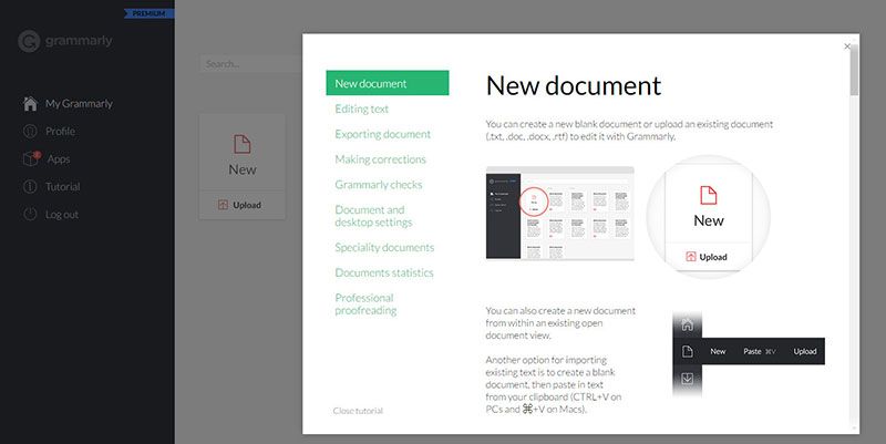 Using the Web Version of Grammarly