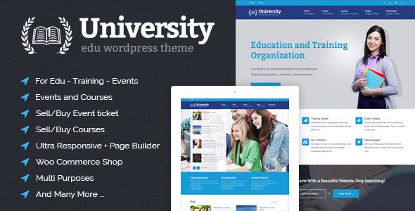 learndash wordpress theme