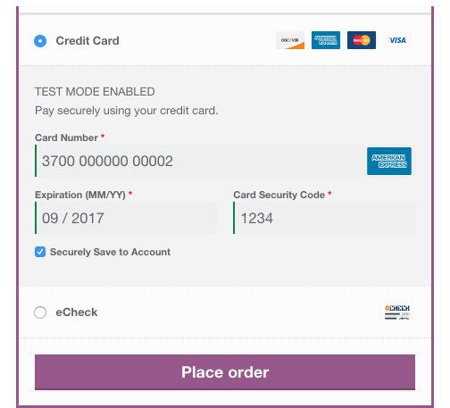  woocommerce credit card payment gateway