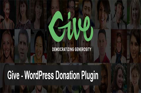give donation plugins vs charitable donation