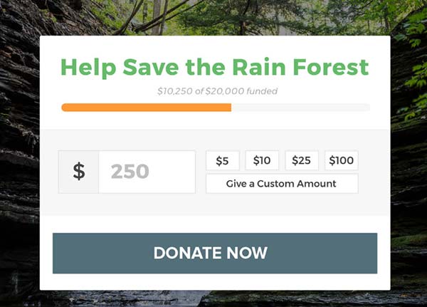 give donation plugin