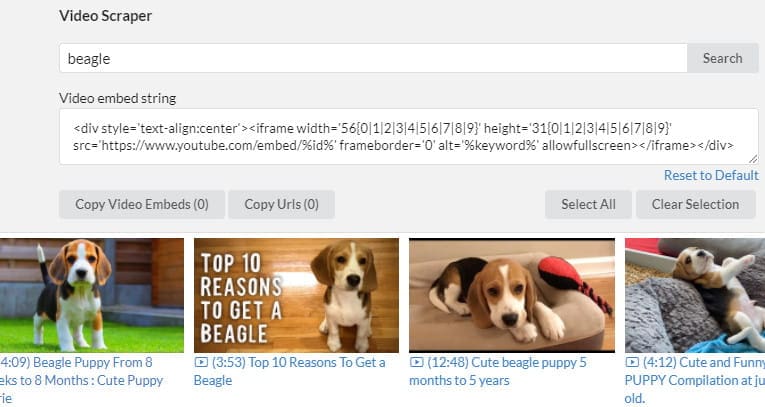 SCM video scraper tool.
