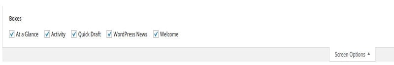 wordpress screen options tab