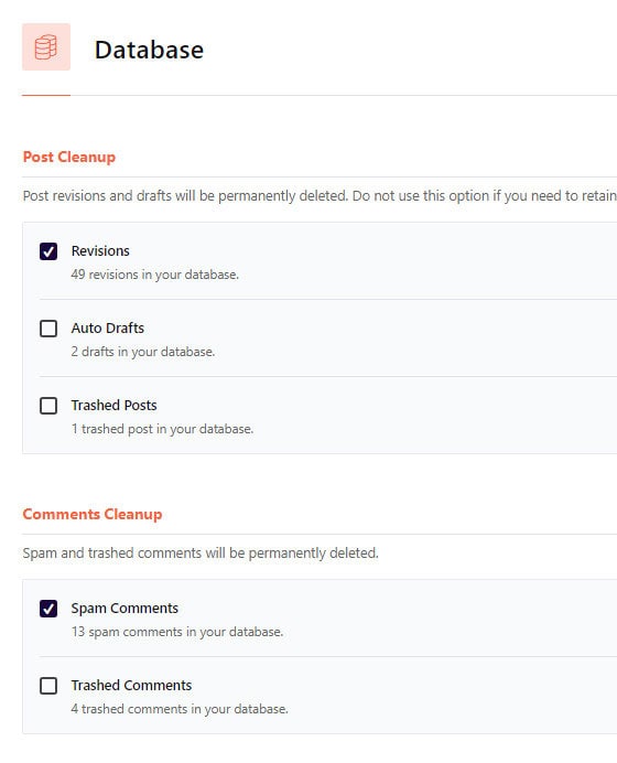 wp rocket database cleanup