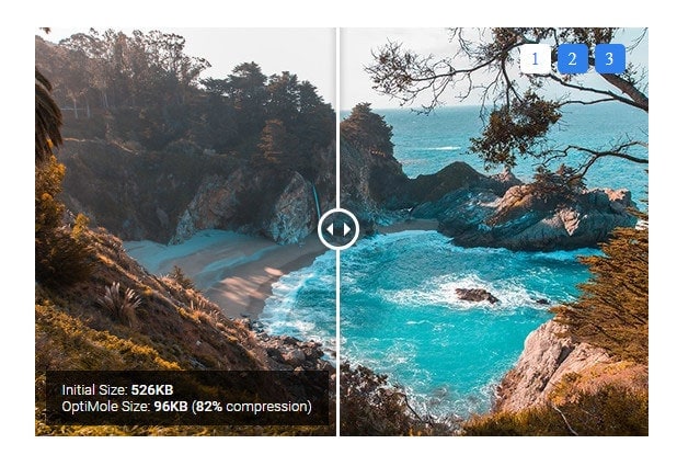 optimole image optimization service