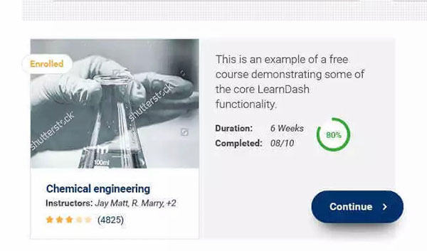 Course Description cards on eLumine Theme