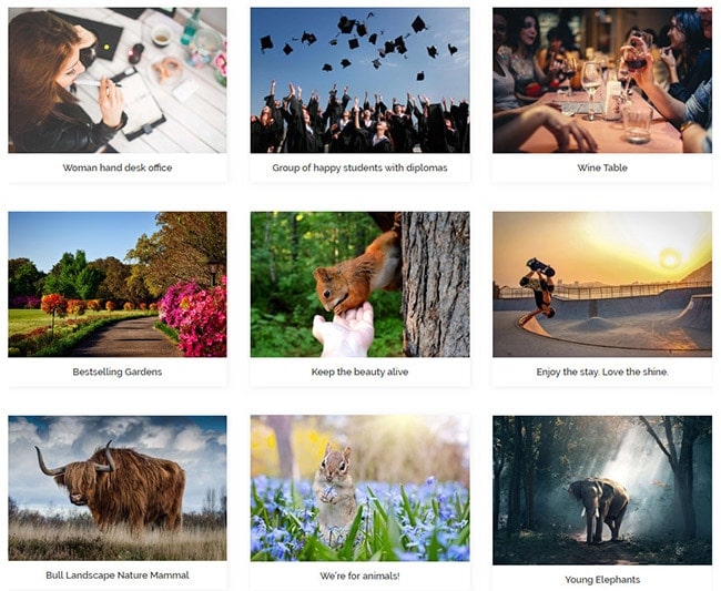 best wordpress portfolio plugin