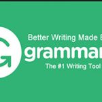 grammarly spelling and grammar wordpress