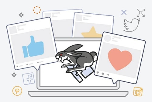 social rabbit wordpress plugin