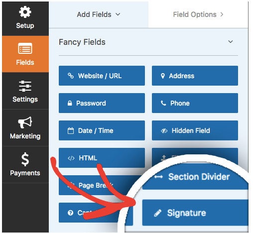wordpress e signature plugin