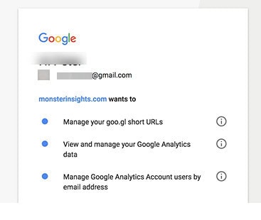 monsterinsights access to google analytics