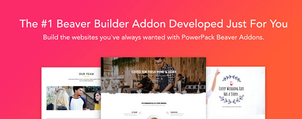 ultimate beaver builder modules