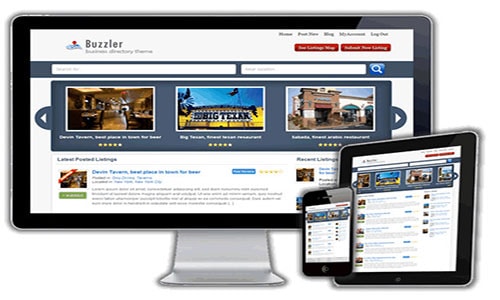Buzzler Business Directory Theme review