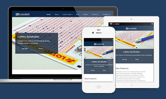 best wordpress lottery theme