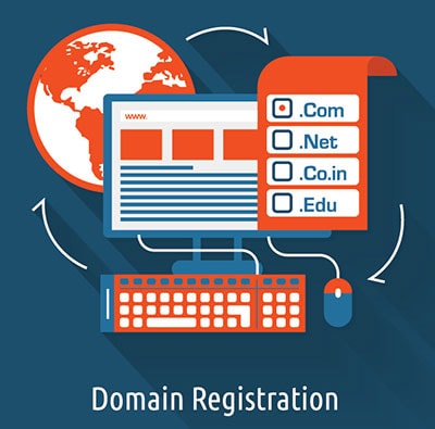 domain name cost