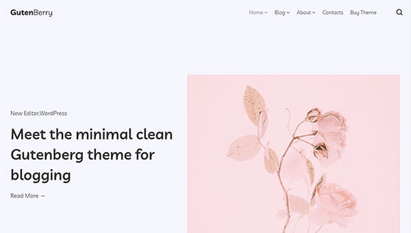 best wordpress gutenberg theme