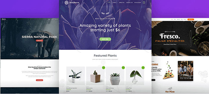 astra theme alternatives