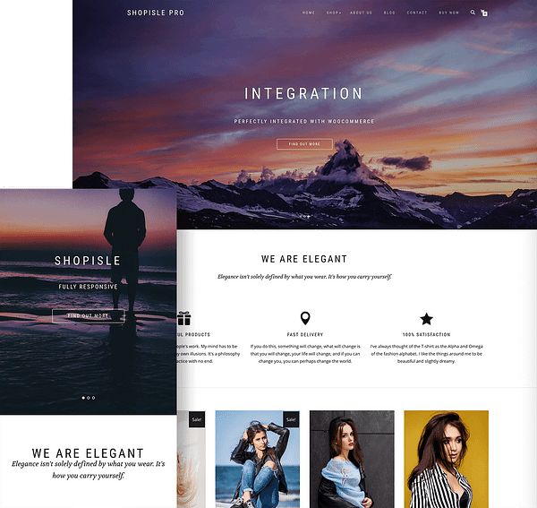 ThemeIsle ShopIsle Pro WooCommerce theme.