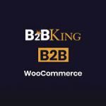 B2BKing discount coupon code.