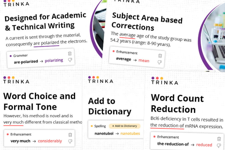Trinka AI features.
