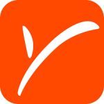 Payoneer features.