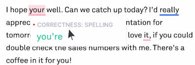 Grammarly spell check option.