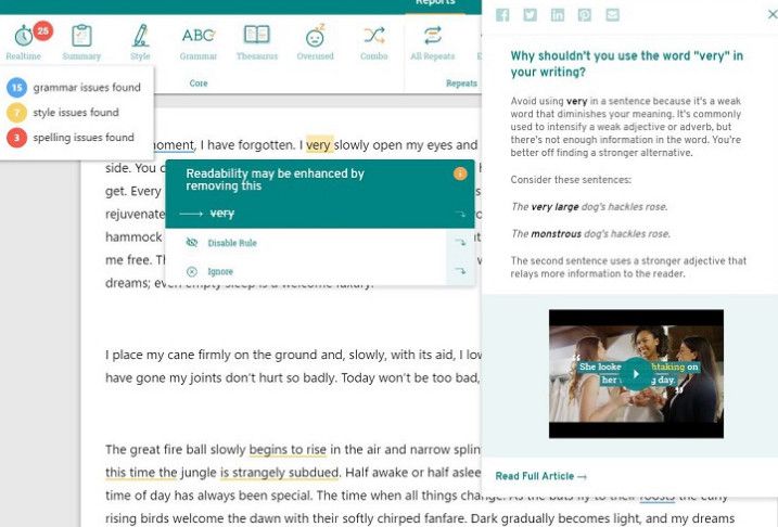 ProWritingAid grammar and spellcheck tool.
