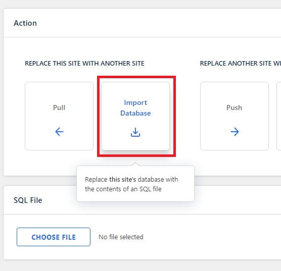 WP Migrate DB Pro import databse.