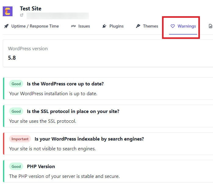 WP Umbrella warnings tab.