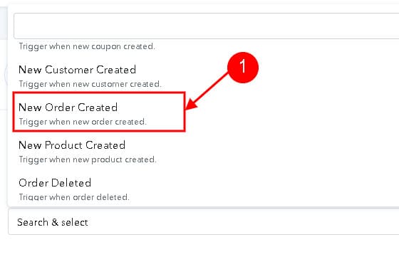 Pabbly Connect triggers.