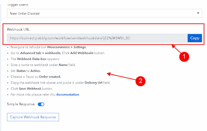 Pabbly webhook URL.